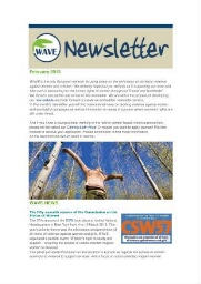 WAVE newsletter [2013], February