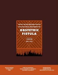 Report on the meeting for the prevention and treatment of obstetric fistula