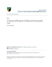 The theory of domestic violence in international law