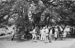 Gezelschap aan de picnic onder grote boom 1938