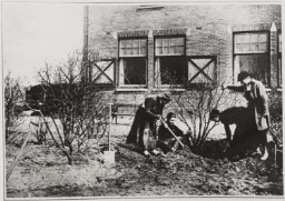 De tuinbouwschool voor meisjes 'Huis te Lande' te Rijswijk: het verplanten van seringen. 1917