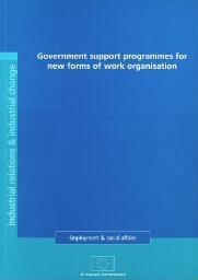 Government support programmes for new forms of work organisation