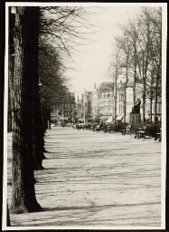 Het Lange Voorhout in Den Haag 1968