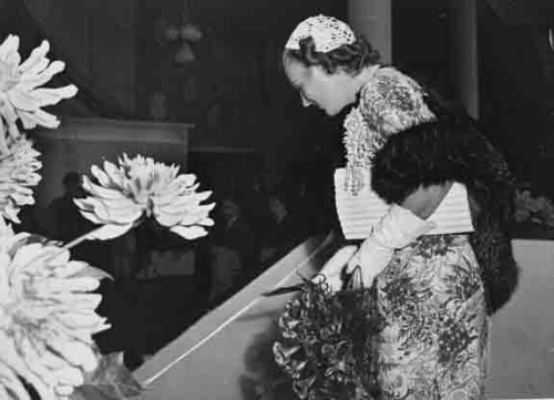 Doorknippen van het lint door H.K.H Prinses Juliana bij de opening van de tentoonstelling 'De Nederlandse Vrouw 1898-1948'. 1948