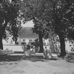 Twee personen staand voor een huis, links waarschijnlijk Johanna Westerdijk 1938