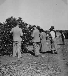 Gezelschap in een boomgaard 1938