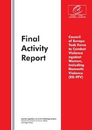 Final activity report