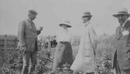 Johanna Westerdijk in de Verenigde Staten 1914