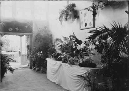 Nationale Tentoonstelling van Vrouwenarbeid 1898,  afdeling bloemenvak. 1898