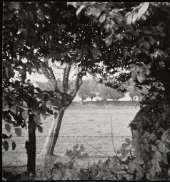 Uitzicht op de Kakertseweg in Schaersberg te Landgraaf 1963