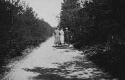 Cursisten wandelen in de omgeving van het Vormingscentrum 'De Born' 1938