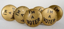 Button. 'I'm a voter'