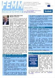 FEMM newsletter [2013], January