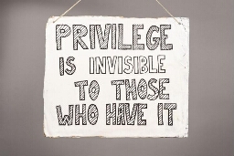 Protestbord 'Privilege is invisible to those who have it', gebruikt voor de Women's March in 2020