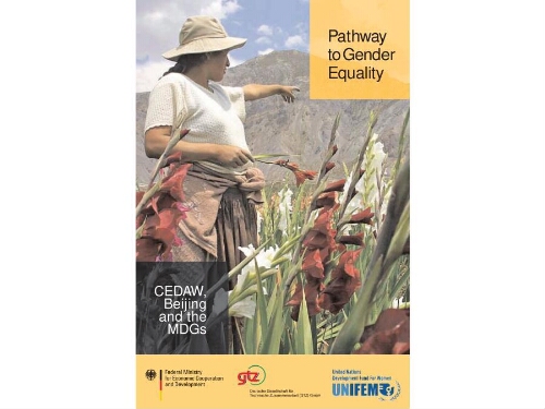 Pathway to gender equality