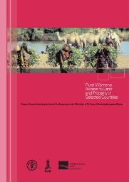 Rural women’s access to land and property in selected countries