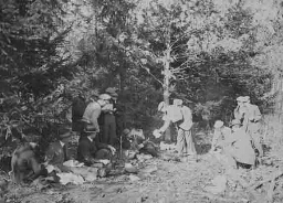 Johanna Westerdijk bij een picnic in een bos in de Verenigde Staten 1914