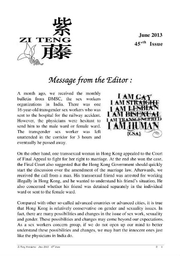 Zi Teng newsletter [2013], 45 (June)