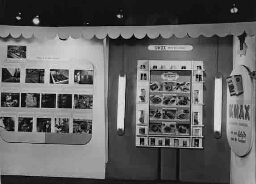 Stand 'Worstfabricage' op de tentoonstelling 'De Nederlandse Vrouw 1898-1948'. 1948
