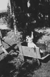 Jannie van Vloten in karretje 1932