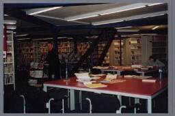 De bibliotheek van het IIAV. 2002