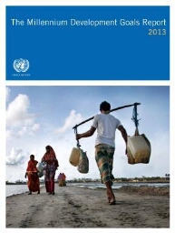 Millennium Development Goals 2013