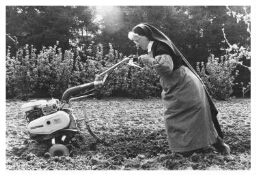 Een zuster van de orde van Carmel aan het ploegen in de kloostertuin. 1982