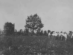 Johanna Westerdijk in een aardappelveld in Michigan 1914