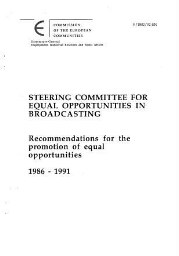Steering committee for equal opportunities in broadcasting