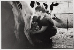 Boerin aan het melken. 1989