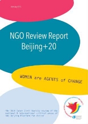 NGO review report Beijing+20