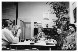 Taal plus, een alfabetiserings cursus voor allochtone en Nederlandse vrouwen. 1994