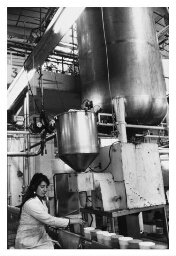 Joegoslavische vrouw achter de lopende band in zuurwarenfabriek Luijks. 1977