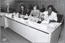 In het kader van de voorbereiding van de Wereldvrouwenconferentie in Beijing 1995 wordt een bijeenkomst gehouden op het ministerie van Buitenlandse Zaken 1993
