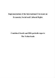 Implementation of the International Covenant on Economic, Social and Cultural Rights