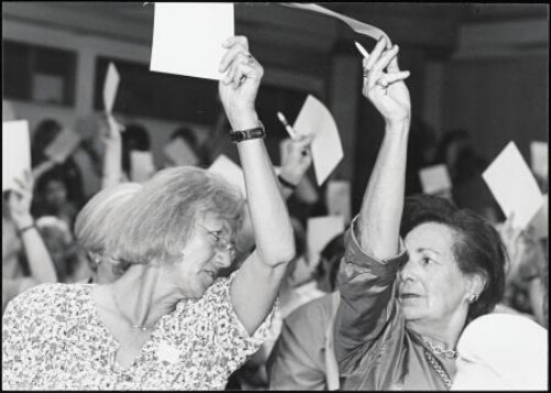 Emancipatieraad zomerborrel, voorafgaand aan de borrel vindt er een discussiemiddag plaats over de ondersteuning van de vrouwenbeweging in de toekomst 1996