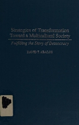Strategies of transformation toward a multicultural society