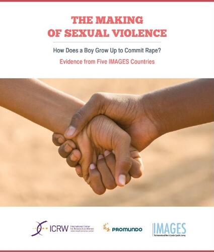 The making of sexual violence: how does a boy grow up to commit rape? evidence from five IMAGES countries