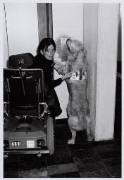 Vrouw traint 'sociale honden' : honden worden ingezet om gehandicapten te helpen bij bepaalde handelingen zoals het openen van een deur. 1998