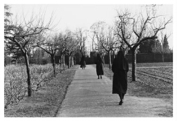 Zusters lopen door de kloostertuin. 198?