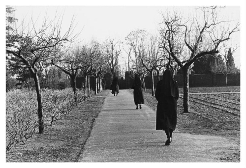 Zusters lopen door de kloostertuin. 198?