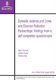 Domestic violence and Crime and Disorder Reduction Partnerships