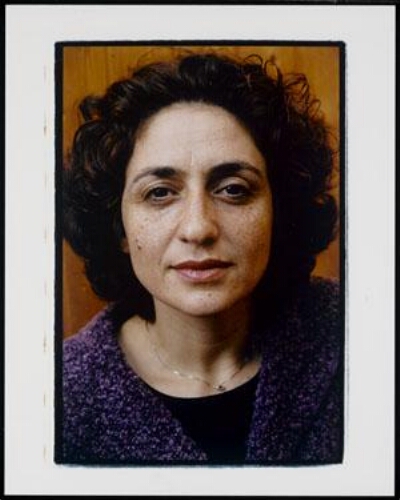 Farah Karimi, Tweede Kamerlid voor Groen Links 2001