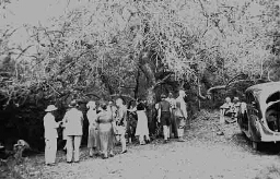 Groep mensen onder een boom 1938