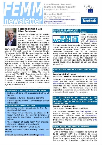 FEMM newsletter [2012], November