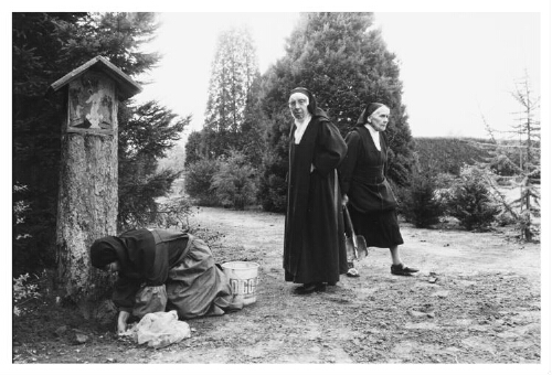 Carmelites aan graven in de kloostertuin. 1983