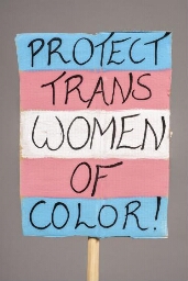Protestbord 'Protect Trans Women of Color!' met transvlag, gebruikt voor de Women's March in 2020