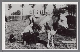 Boerin melkt een koe 193?