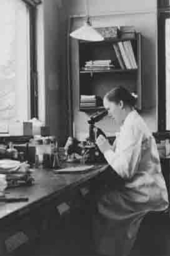 Vrouw kijkt door microscoop 1942